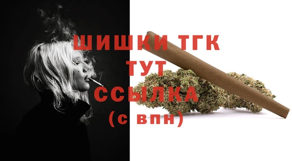 apvp Карпинск