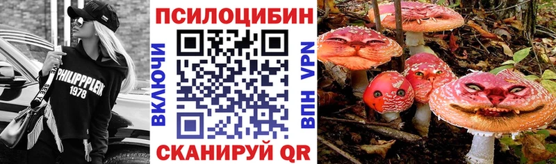 Галлюциногенные грибы мицелий  Купить  Ржев 