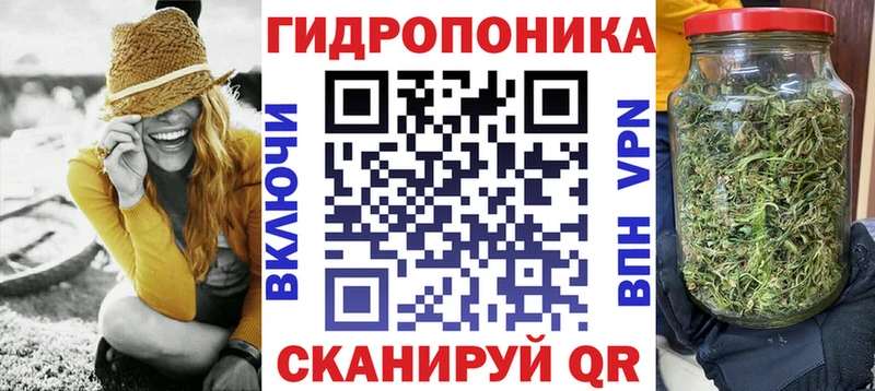 Купить закладки  Ржев  Шишки марихуана AK-47 